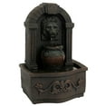 thumbnail image 4 of Pure Garden Tabletop Water Fountain- Classic Lion Head Polyresin Indoor Waterfall, Electric Pump and Soothing Sounds (Dark Gray), 4 of 9