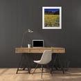 thumbnail image 3 of Talbot Frank, Christopher 12x14 White Modern Wood Framed Museum Art Print Titled - California, Death Valley NP Desert sunflowers, 3 of 4