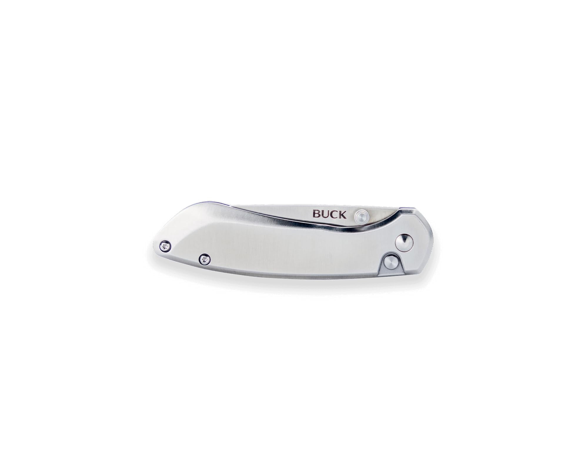Buck Knives 743 Mini Sovereign Folding EDC Knife, 2-5/8” Pocket Knife Blade, Stainless Steel, 3.15 oz