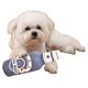 thumbnail image 4 of Juguete Masticable para Con Botella Limpieza Dientes Cachorros, 4 of 9