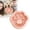 Color A, variant on Slow Feeder Bowl for Dogs And Cats Pet Food Dish Interactive Mealtime Puzzle Indoor Use Feeding Dish Color A 20 cm