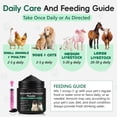 thumbnail image 5 of Worafy Activated Charcoal for Dogs & Cats, Daily Digestive Support, Helps Maintain Normal Stool & Gut Balance 4.23oz/120g, 5 of 11