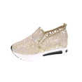 thumbnail image 1 of Amzcrzy Zapatos de mujer,Zapatos de mujer,Zapatillas de mujer, Zapatos casuales de caña baja con encaje de malla para mujer, con tacón grueso y cómodos. Sandalias Mujer Zapatillas De Casa, 1 of 6