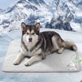 thumbnail image 3 of Deago Summer Dog Cooling Mat, Washable Ice Silk Self Cool Pad for Small Medium Large Dogs and Cats, Pet Sleeping Pad for Crate, Bed, Indoor & Outdoor Floor, Car Seats, 3 of 9