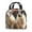 Lunch bag4, variant on Portable Lunch Bag Insulated Anime Carnival Ride With Ferris Wheel And Pink Clouds Lunch Box Reusable Tote Bag Unisex for Work, Travel, Picnic, Office, Camping, Hiking, Picnic, Beach