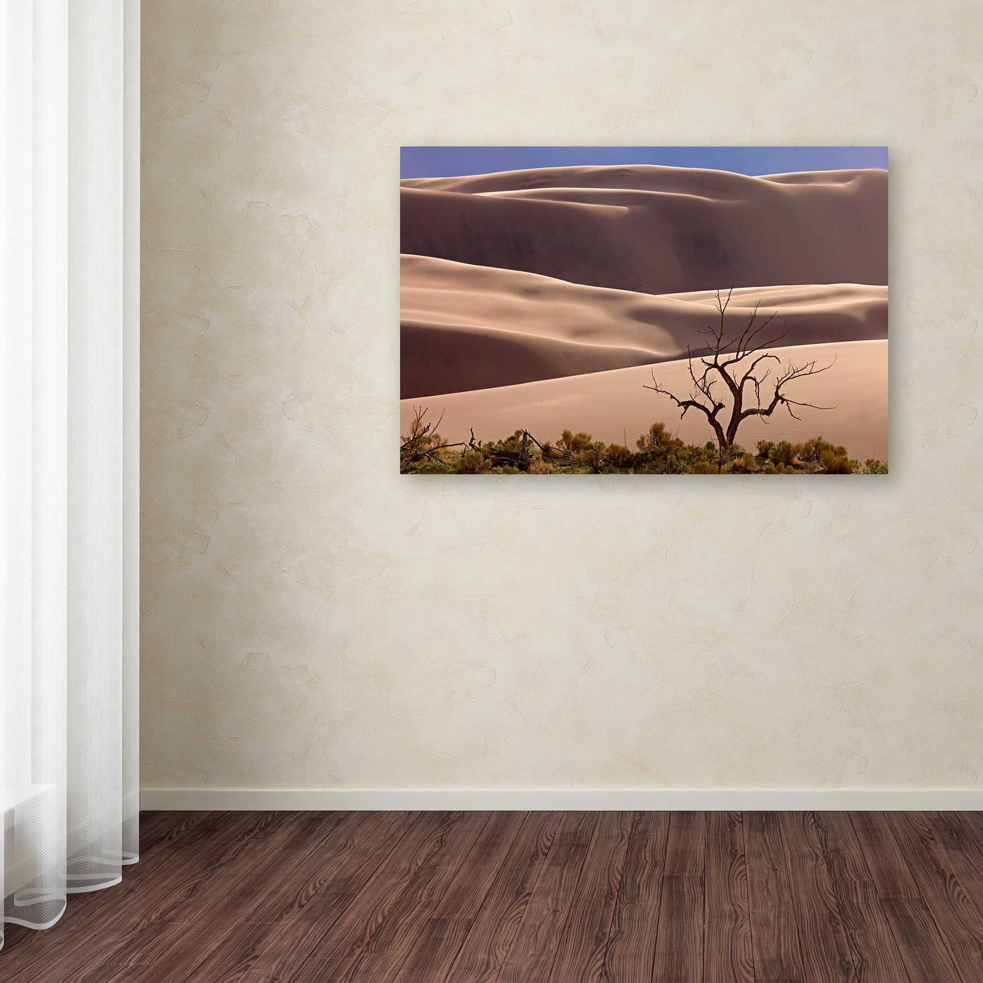 Trademark Fine Art 'Great Sand Dunes NP Tree' Canvas Art by Mike Jones Photo