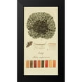 thumbnail image 2 of Unknown 14x24 Black Modern Framed Museum Art Print Titled - Species of Lichen VI, 2 of 5