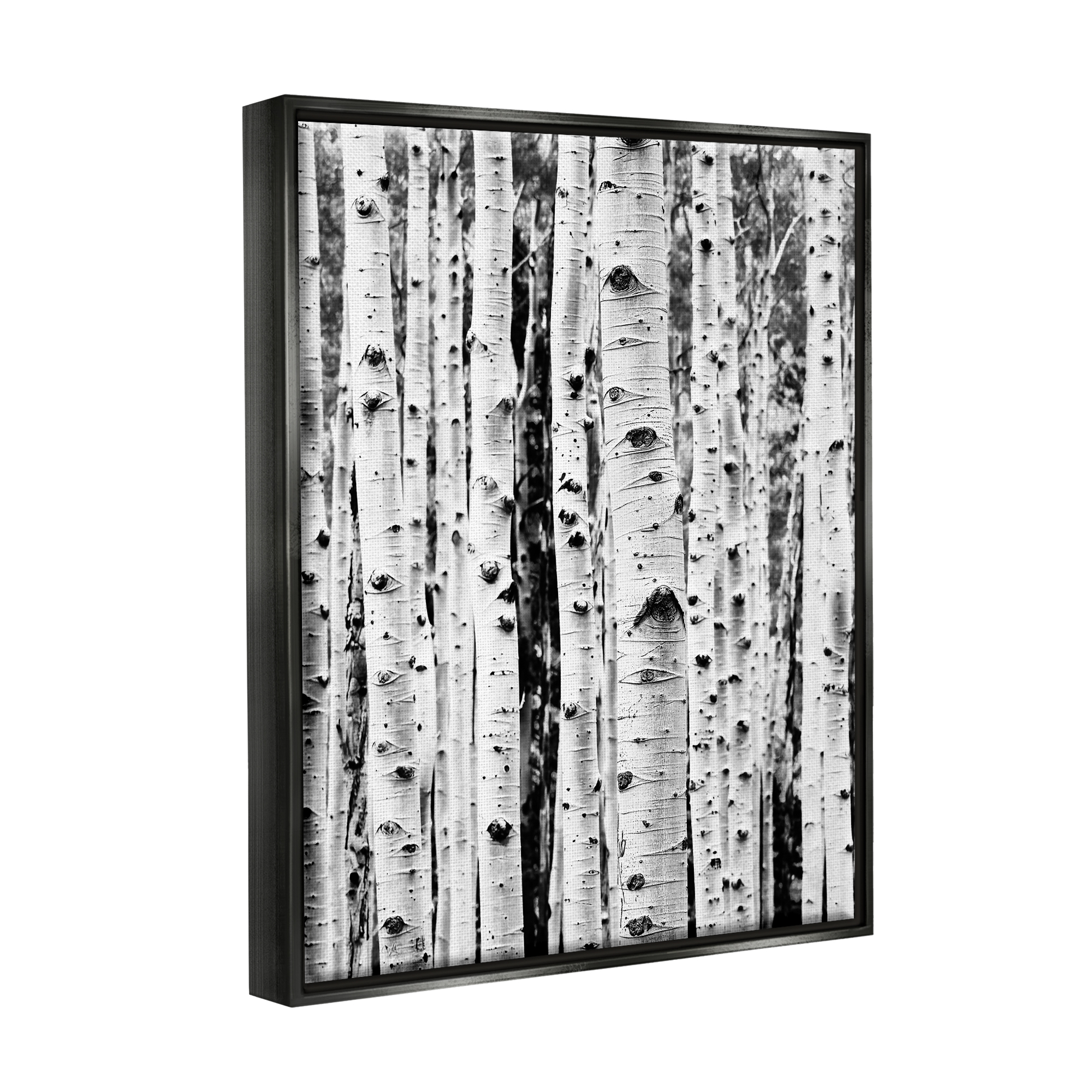Stupell Industries Birch Trees Forest Nature Photography Black Floater Framed Art Print Wall Art, 17 x 21