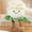 White, variant on 2026 New Plant Plush Toys, Stuffed Animals Toys Plant Soft Pillow Toys, Tree Potted Doll Dracaena Sanderiana, Back-To-School Graduation Gifts for Teacher Classmate Friend(Plush Toys, 3PCS)