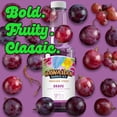 thumbnail image 4 of Hawaiian Shaved Ice Premium Snow Cone and Shaved Ice Grape Syrup - 16 fl oz Bottle, 4 of 10