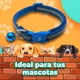 thumbnail image 2 of Collar Anti Reflectante Ajustable Campana Mascotas 32cm Color Morado, 2 of 2