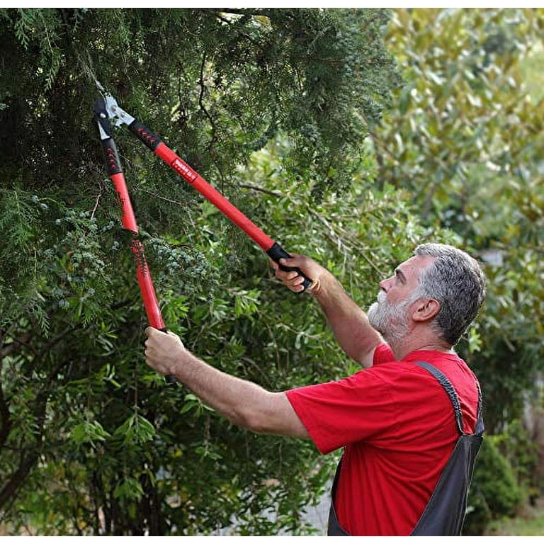 Tree Trimming Tools