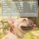 thumbnail image 2 of Leashboss Martingale Collar Para Perros - Cadena De Acero..., 2 of 6
