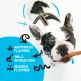 thumbnail image 5 of Sitka Farms Premium Bully Sticks 12 inch Treat for Dogs (24 count), 5 of 8