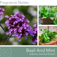 thumbnail image 3 of Colonial Candle Wellness Basil & Mint Scented Jar Candle, 2 Wick, 16 oz, 60 Hours Burn, Fresh, 3 of 7