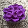 thumbnail image 4 of 1000pcs Silk Rose Flower Petals for Wedding Party Table Confetti Decorations, 4 of 4