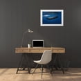 thumbnail image 3 of Gabriel, Barathieu 32x23 White Modern Wood Framed Museum Art Print Titled - Sperm Whale, 3 of 4