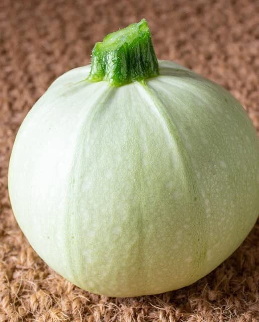 Cue Ball Squash Seeds for Planting (10 Seeds) Big Yield of Pool Ball