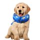 thumbnail image 3 of La huella de pata azul llena el collar de la cerca de seguridad para mantener a su mascota segura, 3 of 5
