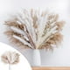 thumbnail image 1 of Xihbxyly Hierba de La Pampa Seca, Color Blanco Natural y Caqui, Ramo de 92 Piezas, Elegante Decoración de Estilo Bohemio, Ideal para Bodas, Salas de Estar y Fiestas, Fácil de Cuidar, 43 Cm de Largo,, 1 of 7