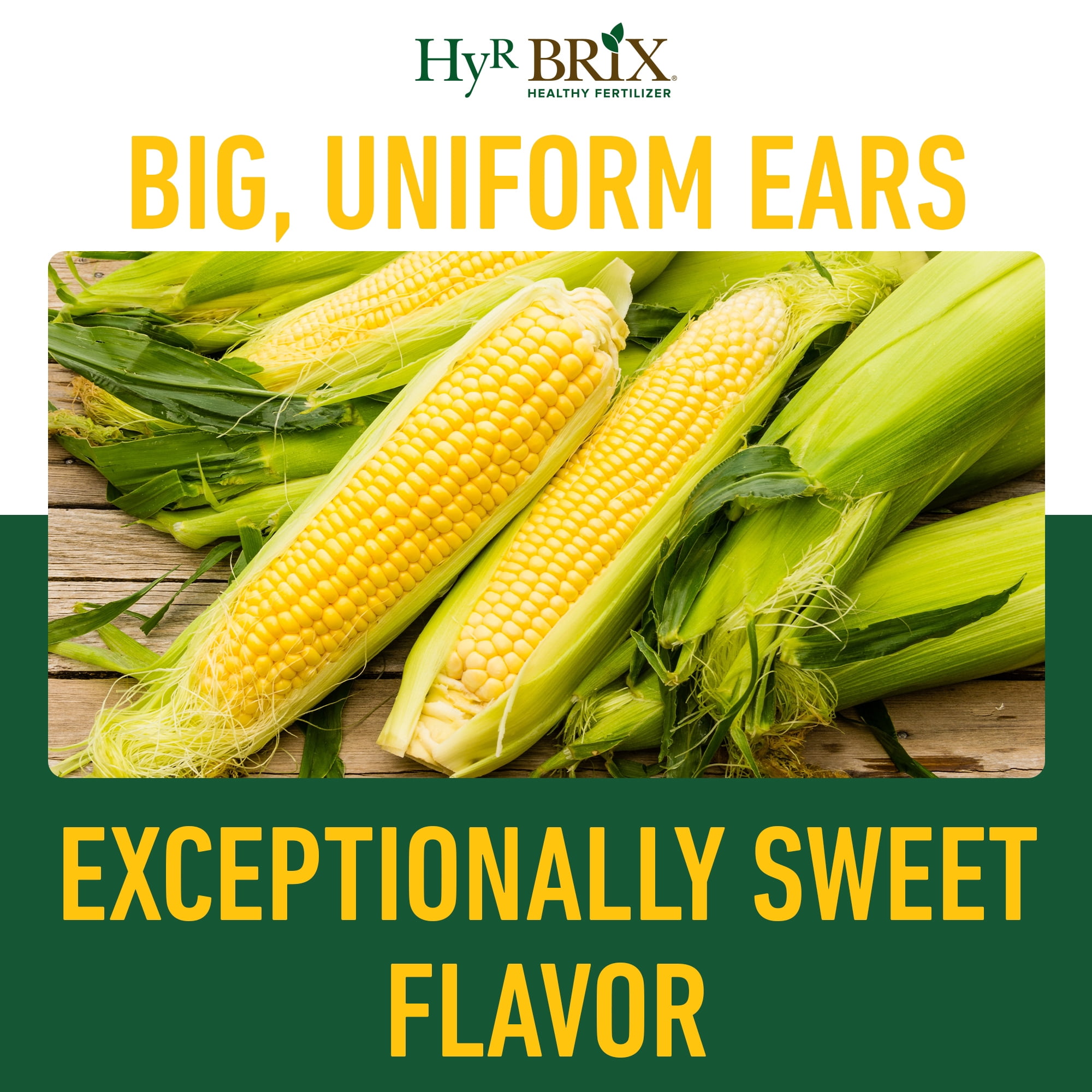 Hyr Brix Sweet Corn Fertilizer