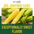 thumbnail image 3 of HyR BRIX Slow-Release 16-7-10 Sweet Corn Fertilizer, 45lb Bag - Corn Food with Calcium & Sulfur - Essential Micronutrients for Big, Uniform Ears & Sweet Flavor, 3 of 7