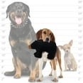 thumbnail image 2 of Tuffy Junior Zoo Bear Durable Plush Dog Toy, 2 of 3