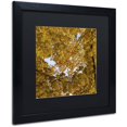 thumbnail image 2 of Trademark Fine Art "Golden Canopy of Autumn" Canvas Art by Kurt Shaffer, Black Matte, Black Frame, 2 of 4