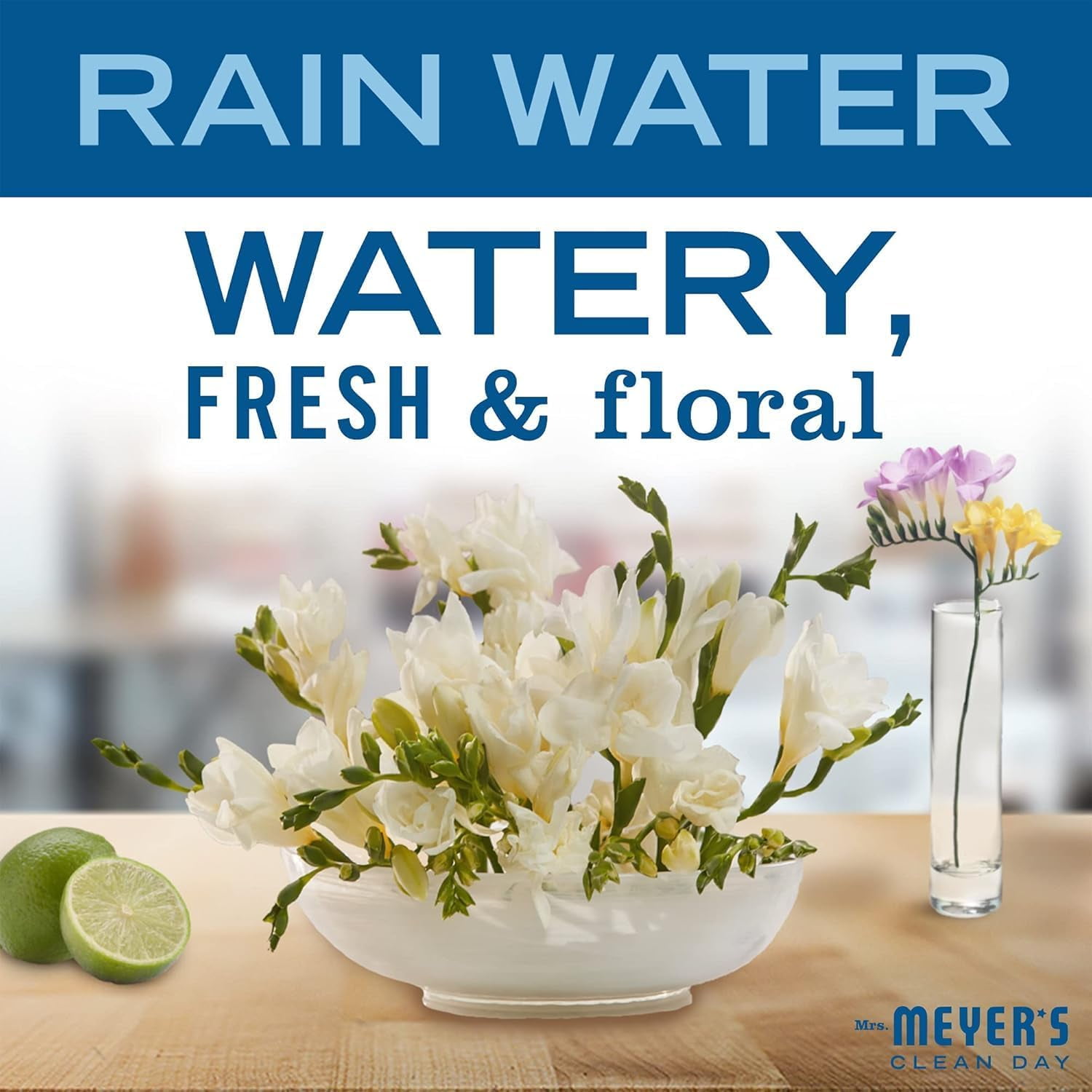MRS. MEYER'S CLEAN DAY Liquid Dish Soap, Rain Water, 16 fl. oz - Pack of 3