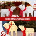 thumbnail image 3 of CZBZ Outdoor Christmas Yard Decorations, 27.5in Set of 3 Lighted Polar Bear Family Christmas Decorations, Pre-lit Holiday Decor with 190 Warm White LED Lights for Xmas Outdoor Indoor Decor, 3 of 11
