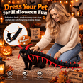 thumbnail image 4 of Cat Centipede Costume Halloween Pet Clothes, Plush Caterpillar Insect Outfit with Adjustable Straps, Funny Bug Cosplay Costume for Cats, Small Dogs and Holiday Parties, 4 of 8