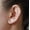 Gold Feather, variant on Fine Feathers Ear Climbers Earrings