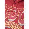 thumbnail image 5 of AACA University of the District of Columbia Heavyweight HBCU Pride Hoodie, Men's Retro Pullover with Contrast Stitching, 5 of 6