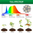 thumbnail image 3 of Luz de Crecimiento para Plantas SANSI 30W Espectro Completo Trípode 76-140cm, 3 of 9