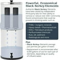 thumbnail image 5 of Berkey Black Replacement Fluoride Self-Sterilizing Cleanable Filters Combo Pack, 5 of 6