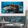 thumbnail image 1 of Coraux et Poissons dans le Parc National de Komodo - Impression sur Toile de Bord de Mer, 1 of 4