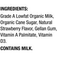 Horizon Organic 1 Lowfat UHT Strawberry Milk, 8 Oz., 12 Count