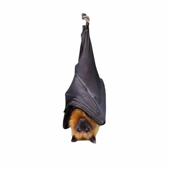 Bat Ornament Realistic Hanging Bat For Gothic Home Décor Funny Halloween Ornament For Nature & Animal Lovers Unique Idea