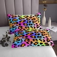 thumbnail image 3 of Erosebridal Neon Leopard Print Quilt Sets for Queen Size Bed, Cartoon Rainbow Bed Set, Animals Decor, 3-Piece, 3 of 5