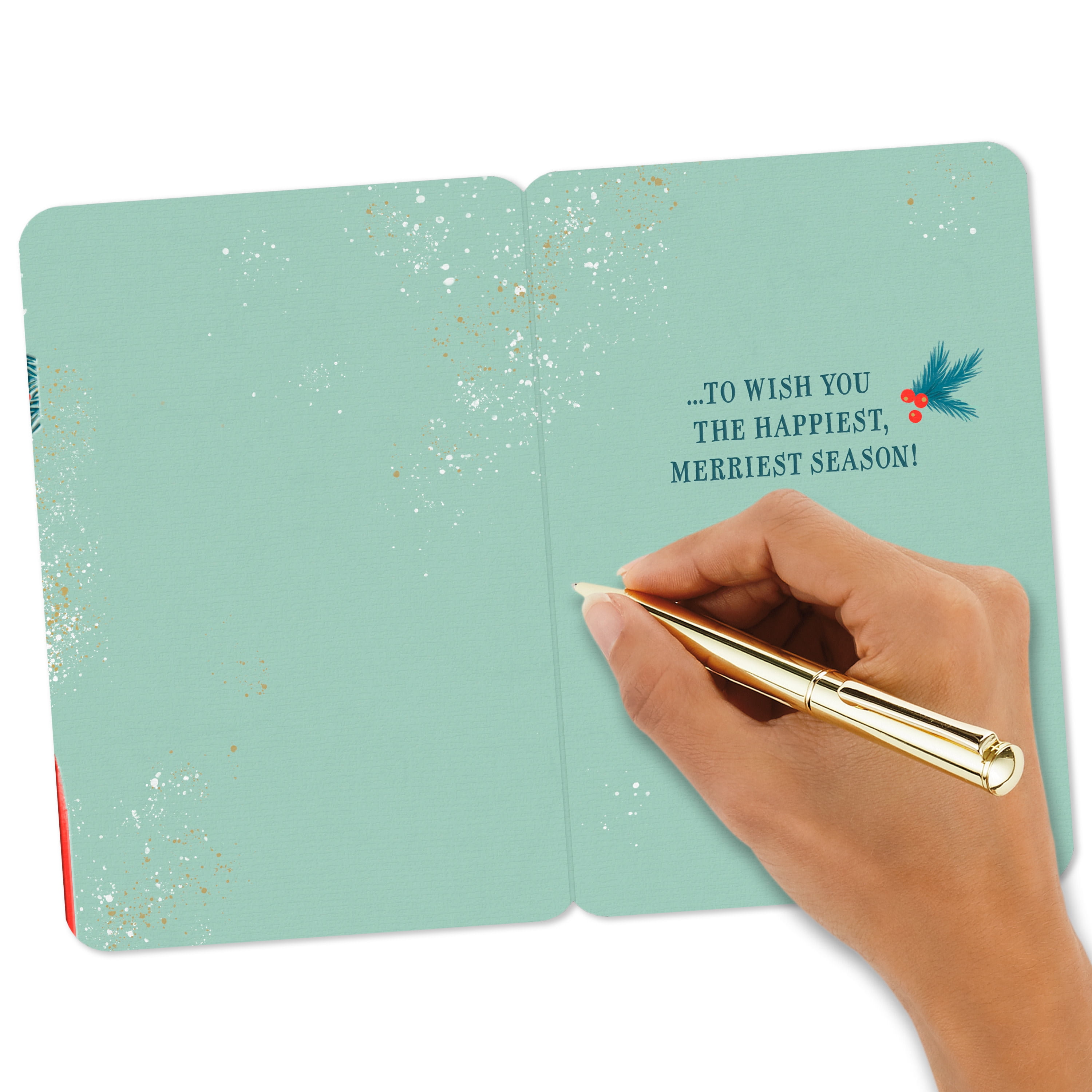 Hallmark Christmas Greeting Card (You're Ever So Nice Santa and Snow)
