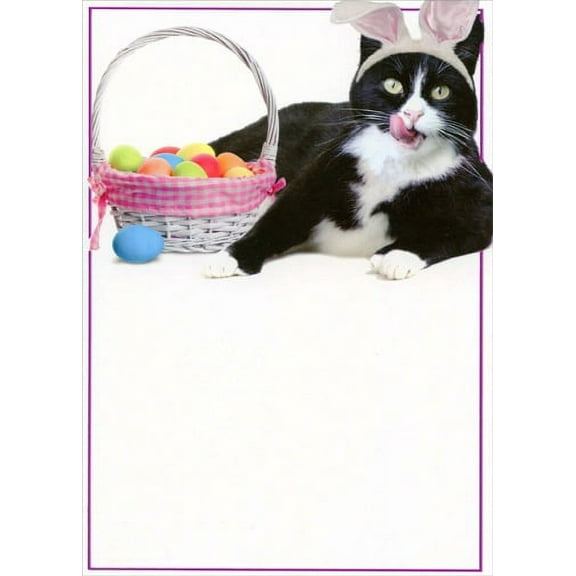Recycled Paper Greetings No Easter Bunny Funny Cat Easter Card