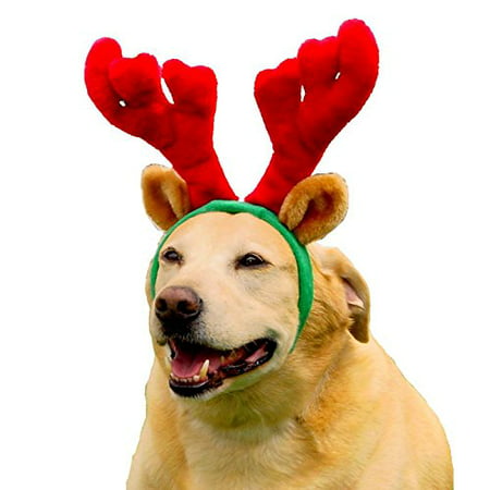 Outward Hound Kyjen 30026 Antlers vacances Wearable Accessoires pour chiens, Grand, brun