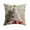 C, variant on Taotanxi Christmas Pillow Cover,18" L X 18" W Throw Pillow Cover, Merry Christmas Pillow Cover for Women Men, Ornaments Print Pillowcase, Xmas Decor Cushion Case B