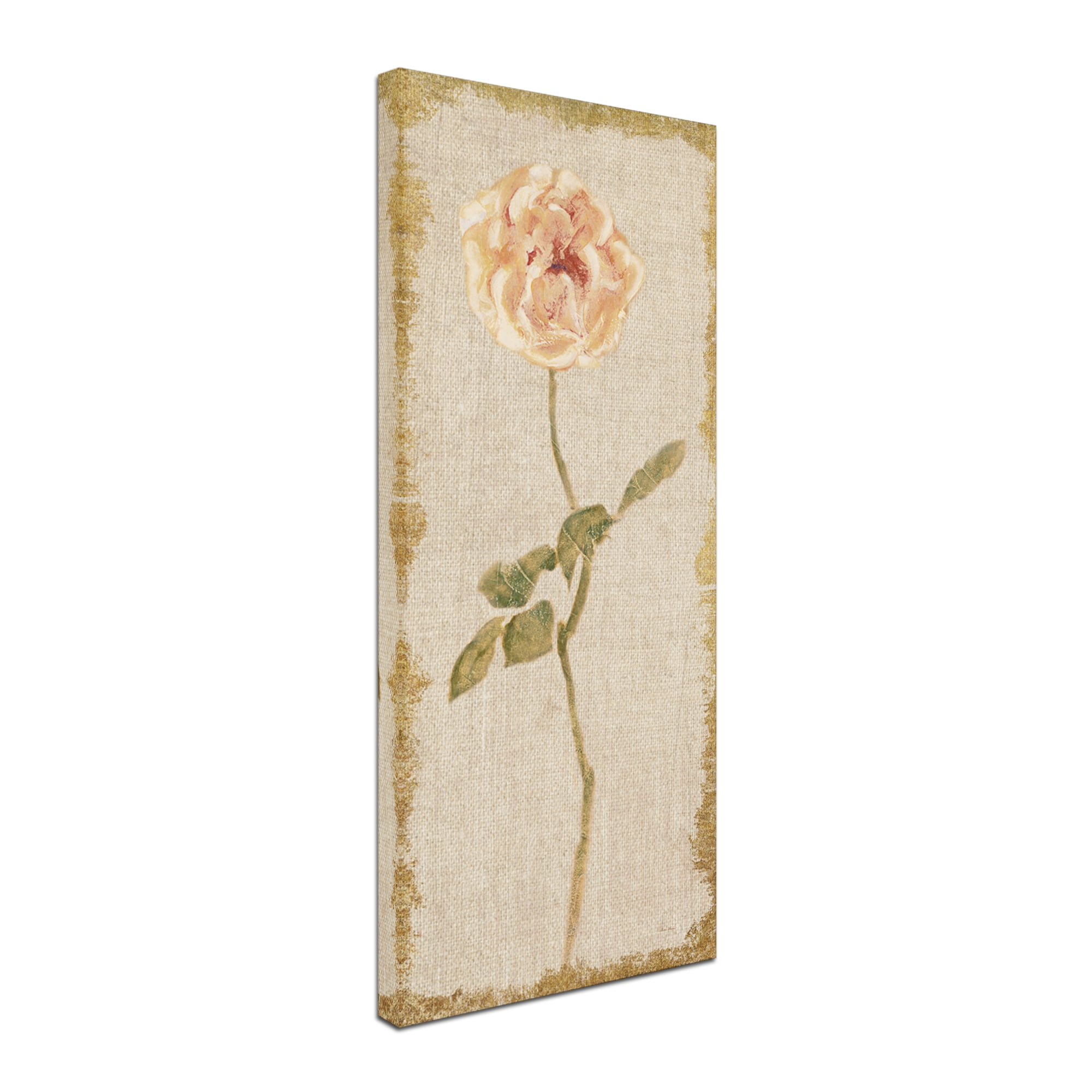 Trademark Fine Art 'Pale Rose Panel on White Vintage v2' Canvas Art by Cheri Blum
