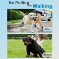 thumbnail image 2 of Prong Collar for Dogs, Adjustable Size Dog Training Collar, Dog Pinch No Pull Collar with Quick Release Buckle for Small Medium Large Dogs, 2 of 6