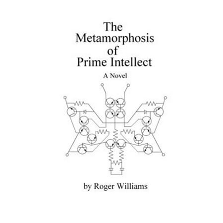 Pre-Owned The Metamorphosis of Prime Intellect Paperback