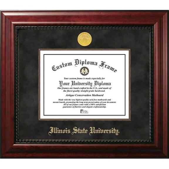 Campus Images IL966EXM-108 10 x 8 in. Illinois State Executive Diploma Frame