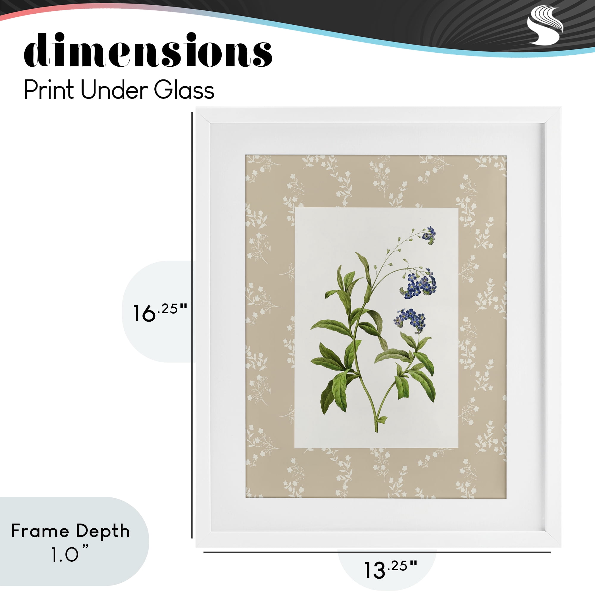Stupell Industries Botanical Plate Design White Framed Print Under Glass, design by Val Rhodes