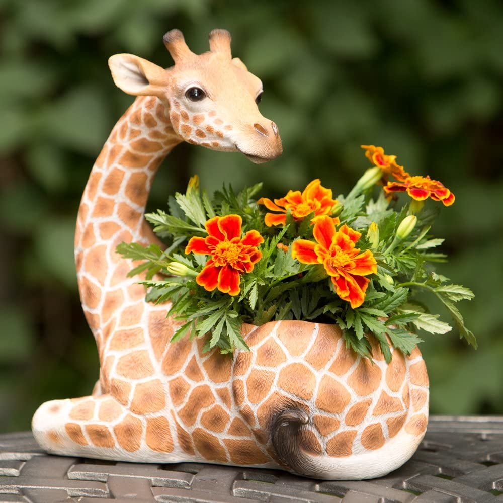 Bits and Pieces Giraffe Wildlife Safari Planter with Indoor/Outdoor Decoration