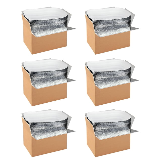 Cajas de envío aislantes YSSOA, paquete de 6 con revestimiento de papel de aluminio